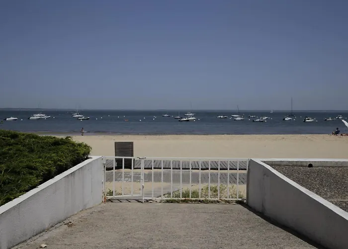 Les Pieds Dans L'eau *